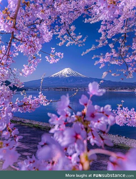 Mount fuji japan