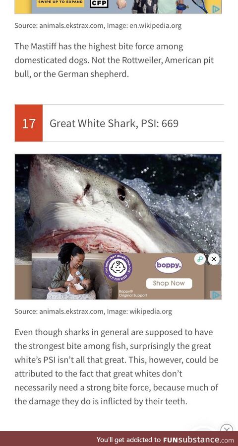 This unfortunate ad placement