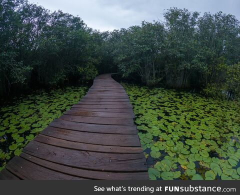 Beddagana wetland park  sri lanka
