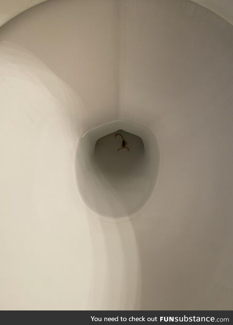 Well that’s terrifying…