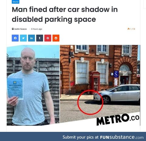 Enlivened Chinchilla