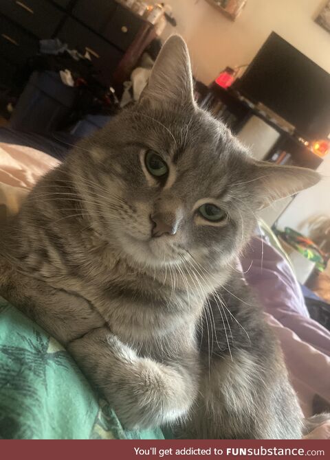 His arms are so perfectly folded