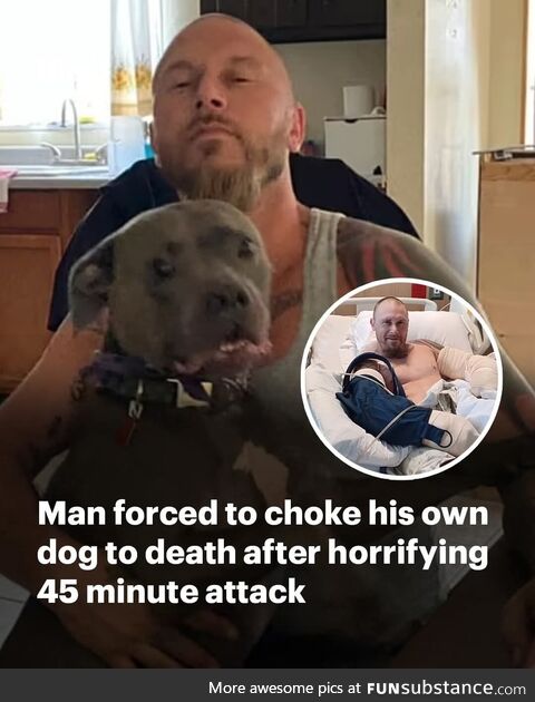 Fluffy had a bad bad