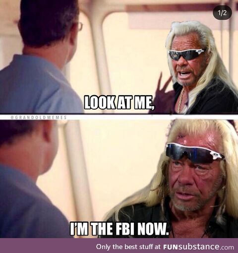 Dog is on the case!