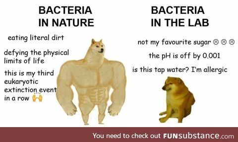 Intolerable spooky engraved