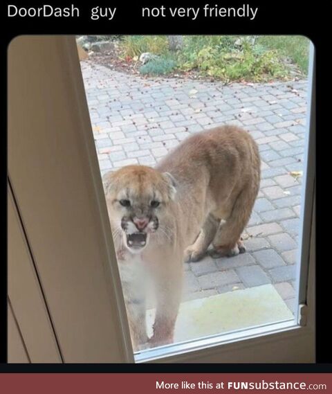 Ensconced comely pessimistic