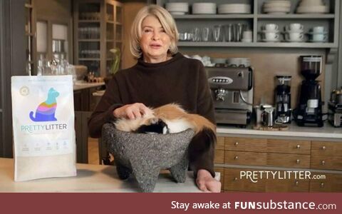 Why is Martha Stewart’s cat sitting in a giant guacamole bowl in this commercial?