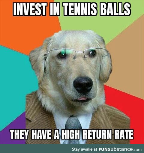 Business Dog comes back!