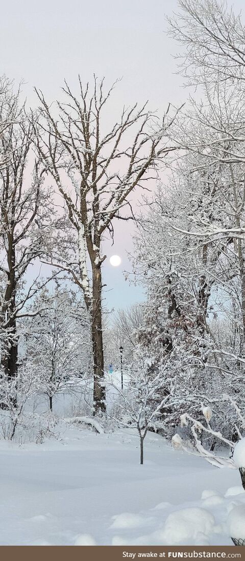 Full moon rising yesterday afternoon