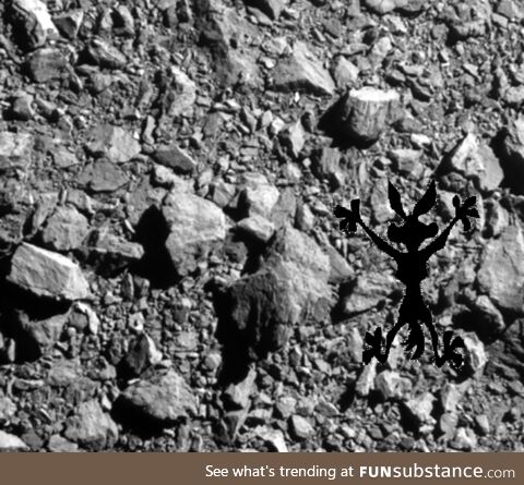 They pointed JWST at the Dart Mission impact site and this is what they found