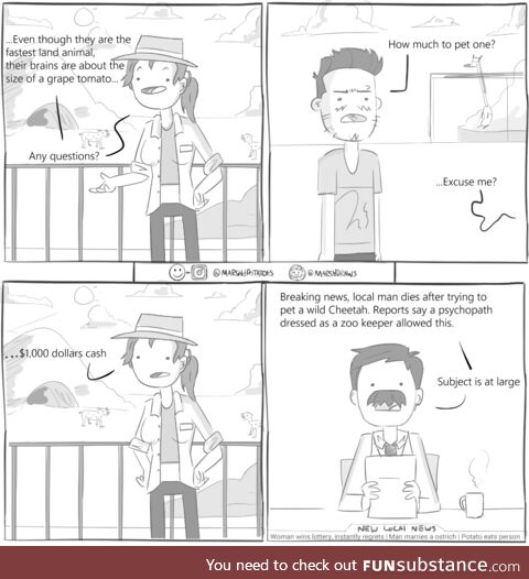 Just a normal day at the zoo, right?