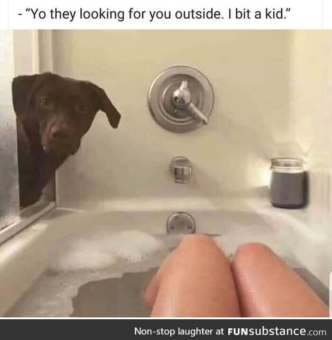 Just dog things