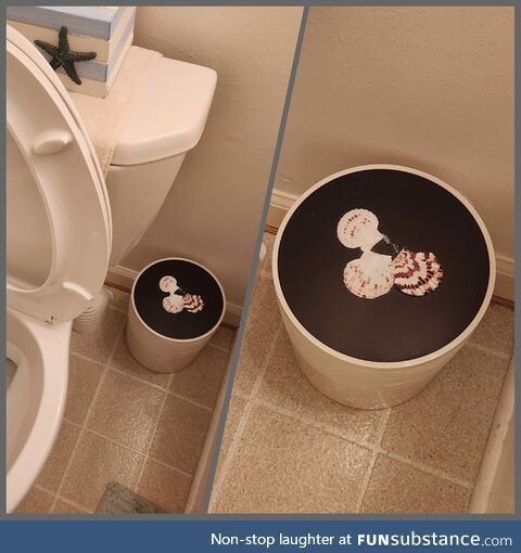Our friend's bathroom has three seashells next to the toilet