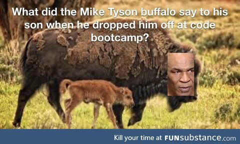 iFoundAPythonExtensionThatAllowsMeToUseCurlyBracesInsteadOfIndentationGuessWhatItIsCalled