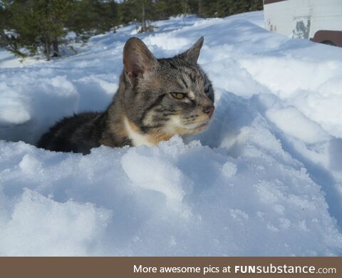 Somebody's Not Happy with their Surroundings