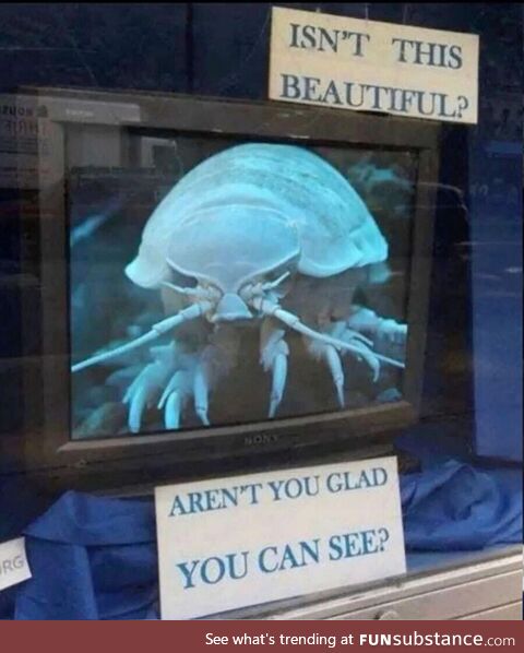 Stale neurological precious