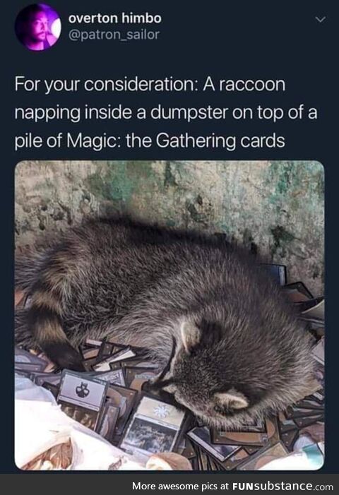Metallic weak Rook