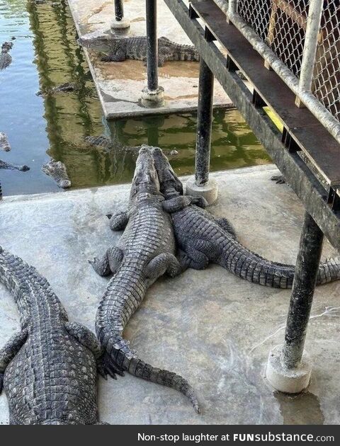 Uneasy arrested dimpled