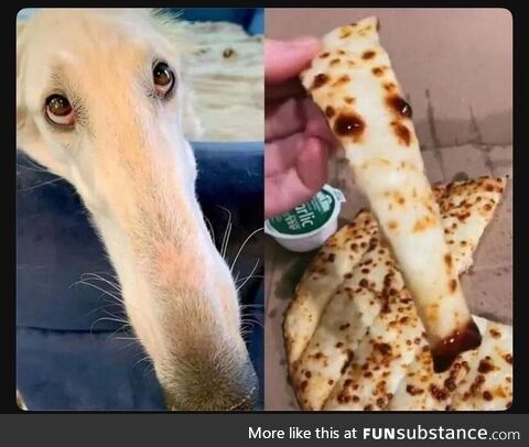 Pizza, but at what cost?