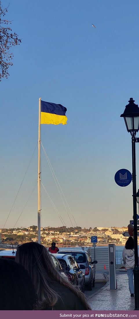 [OC] Ukraine flag waving in Cascais, Lisbon - Portugal