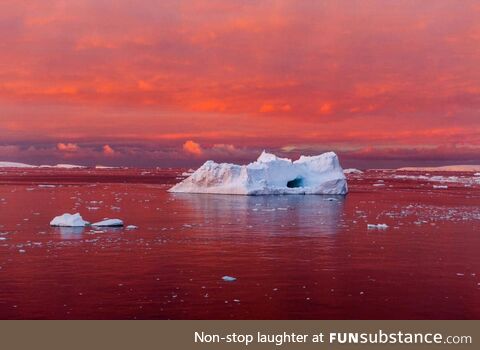 Iceberg in blood red sea, Lemaire channel, Antarctica