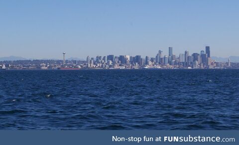 The view of Seattle from our whale watching trip