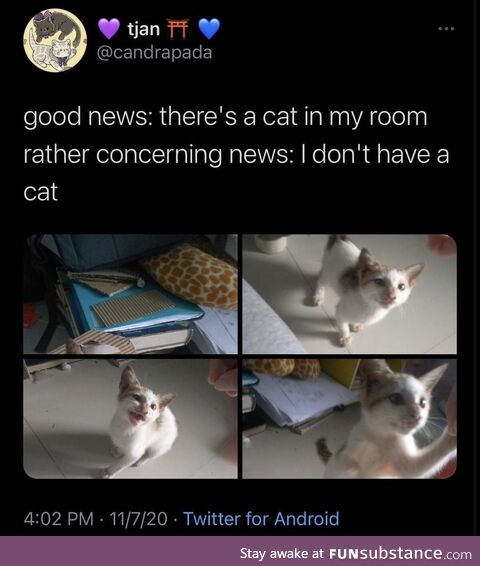 Embarrassed pressed abandoned