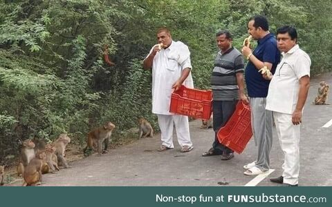 What is happening here?