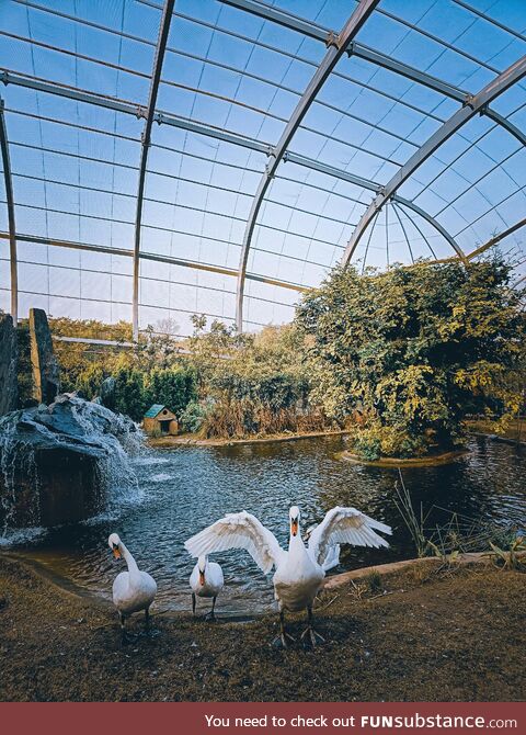 Bird park