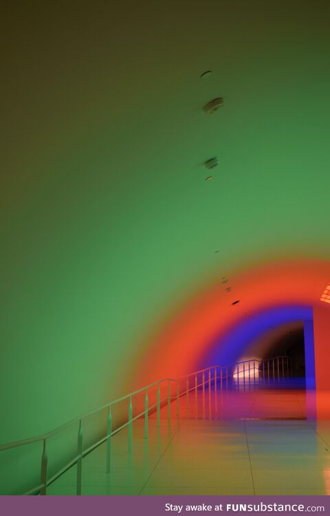 Fine art museum, houston [oc]