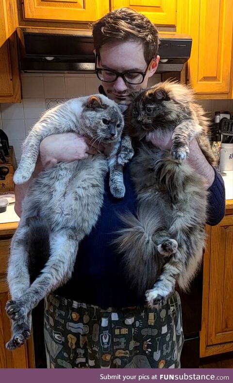 [OC] caught the sister of the Lorax