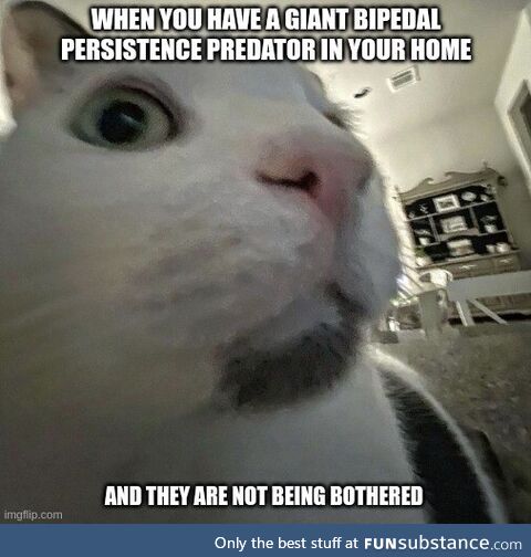 Injurious irritating cultured