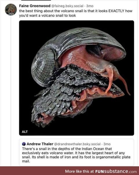 Makeshift realizing vicious