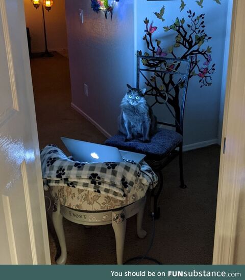 He has seen some stuff