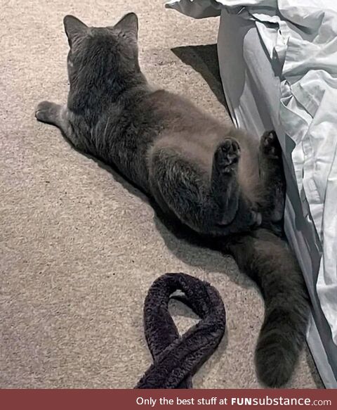 Please read instructions before assembling cat