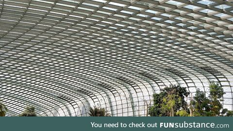 [oc] inside the flower dome, singapore