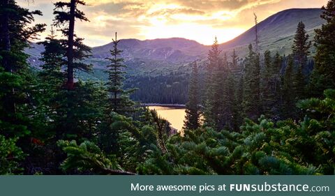 Went on a nice afternoon hike :) [OC]