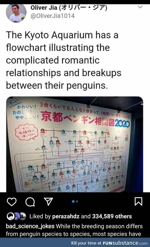 Intern specific virgin