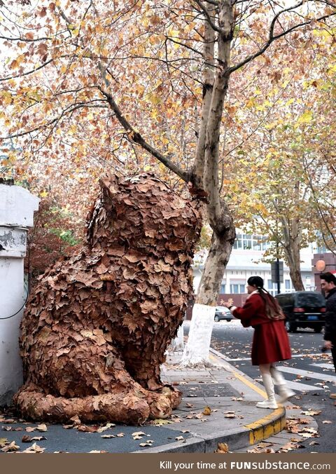 A giant cat made of fallen leaves in Nantong, Jiangsu