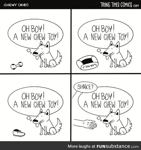 Oh boy a new chew toy