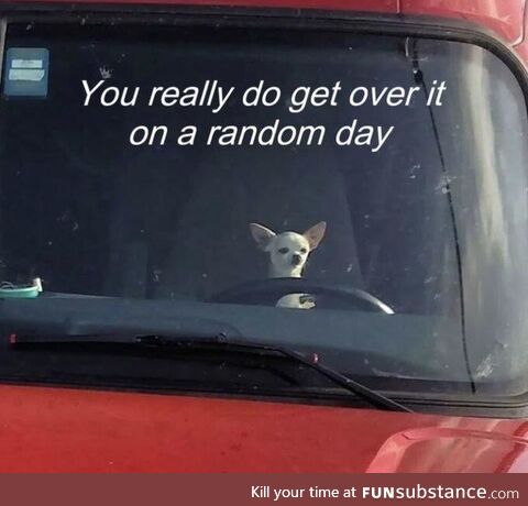 Spiky familiar usable