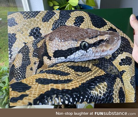 Oil painting of my python:) if you’re interested in a commission pls let me know!