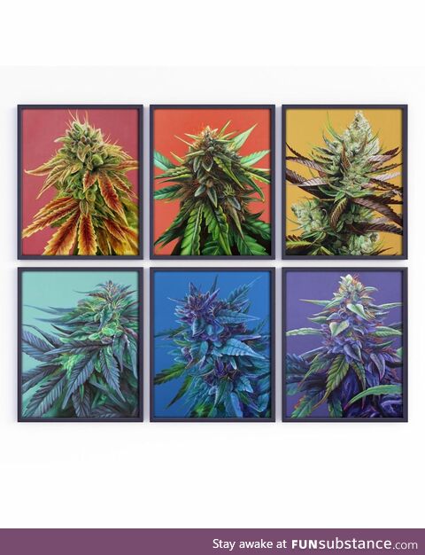 [oc] Finished my first full painting series