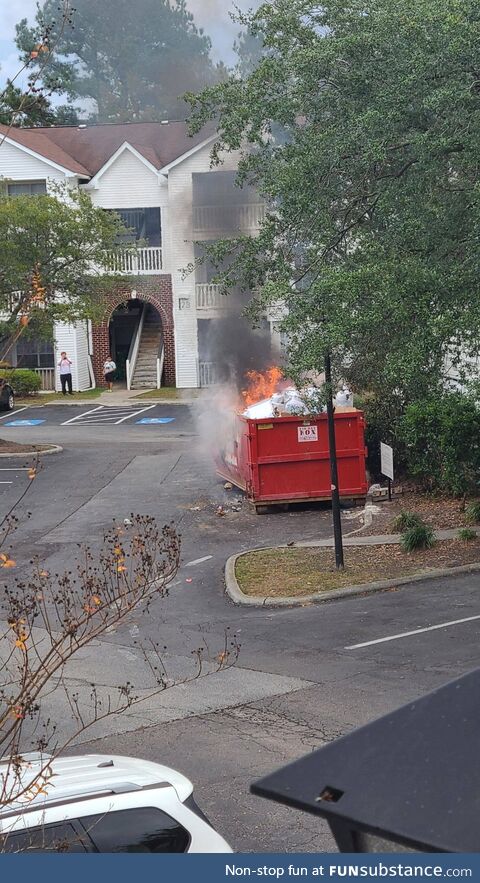 Managed to capture a picture of my whole life