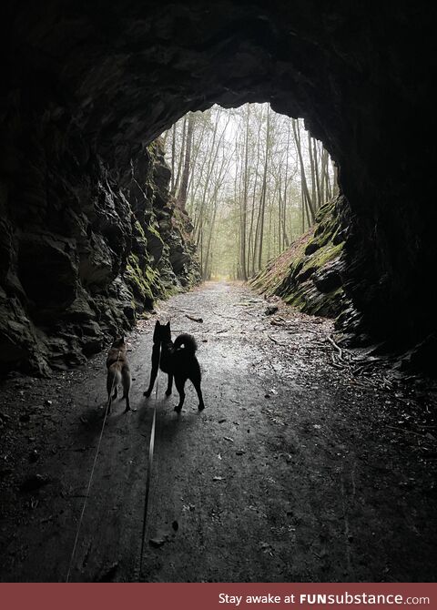 Passing through an abandoned train tunnel