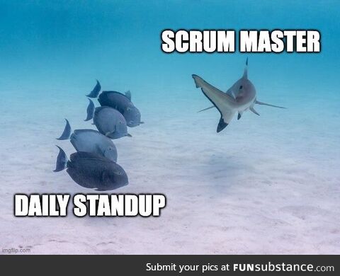 theySaidDailyStandupsAreNotVeiledMicromanagement