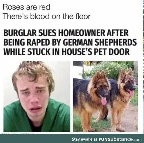 Vagabond tacky fascinated