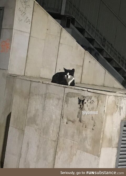 I left work and saw this. Made my day