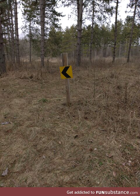 Our 4 1/2 year old grandson pointed to this on our hike and said "look a Plex sign"