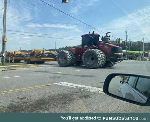 Saw this monster today